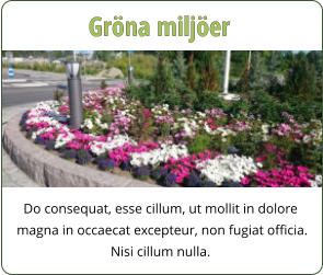 Do consequat, esse cillum, ut mollit in dolore  magna in occaecat excepteur, non fugiat officia.  Nisi cillum nulla. Gröna miljöer