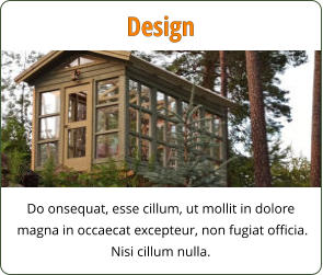 Do onsequat, esse cillum, ut mollit in dolore  magna in occaecat excepteur, non fugiat officia.  Nisi cillum nulla. Design