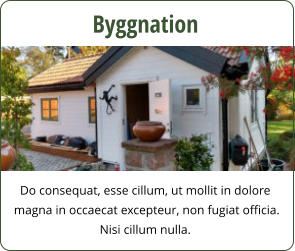 Do consequat, esse cillum, ut mollit in dolore  magna in occaecat excepteur, non fugiat officia.  Nisi cillum nulla. Byggnation